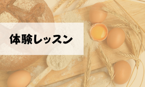 体験レッスン開催